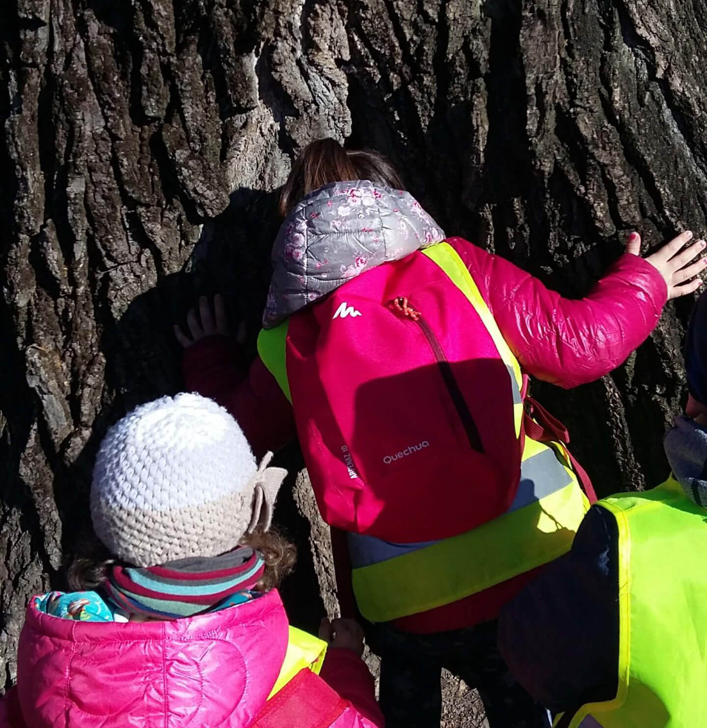 Outdoor education alla scuola dell'infanzia a Verona