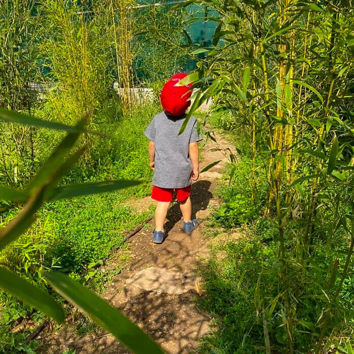 giardino-scuola-infanzia